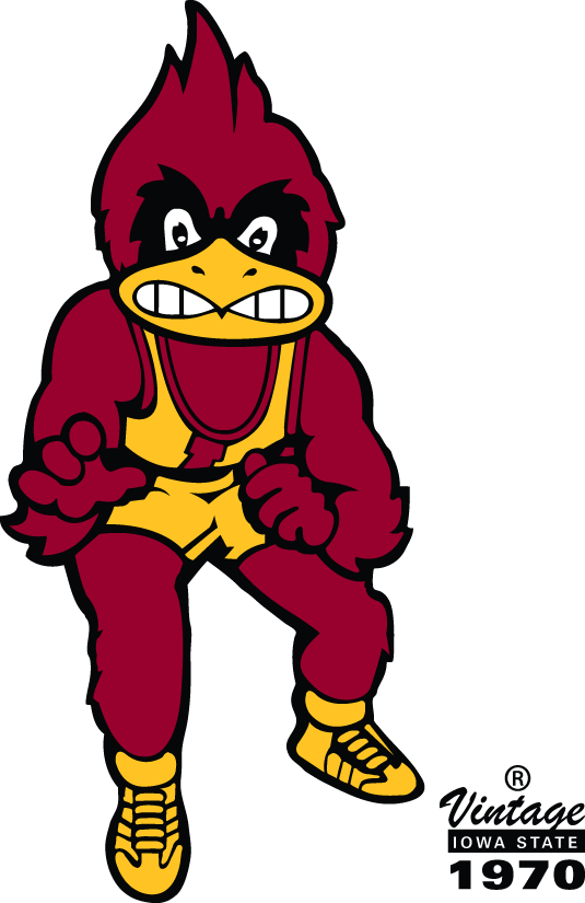 Iowa State Cyclones 1970-1983 Mascot Logo iron on transfers for clothing